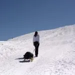 Den anstrengelsen tilbake på kjelke, men nedstigningen er vakker.